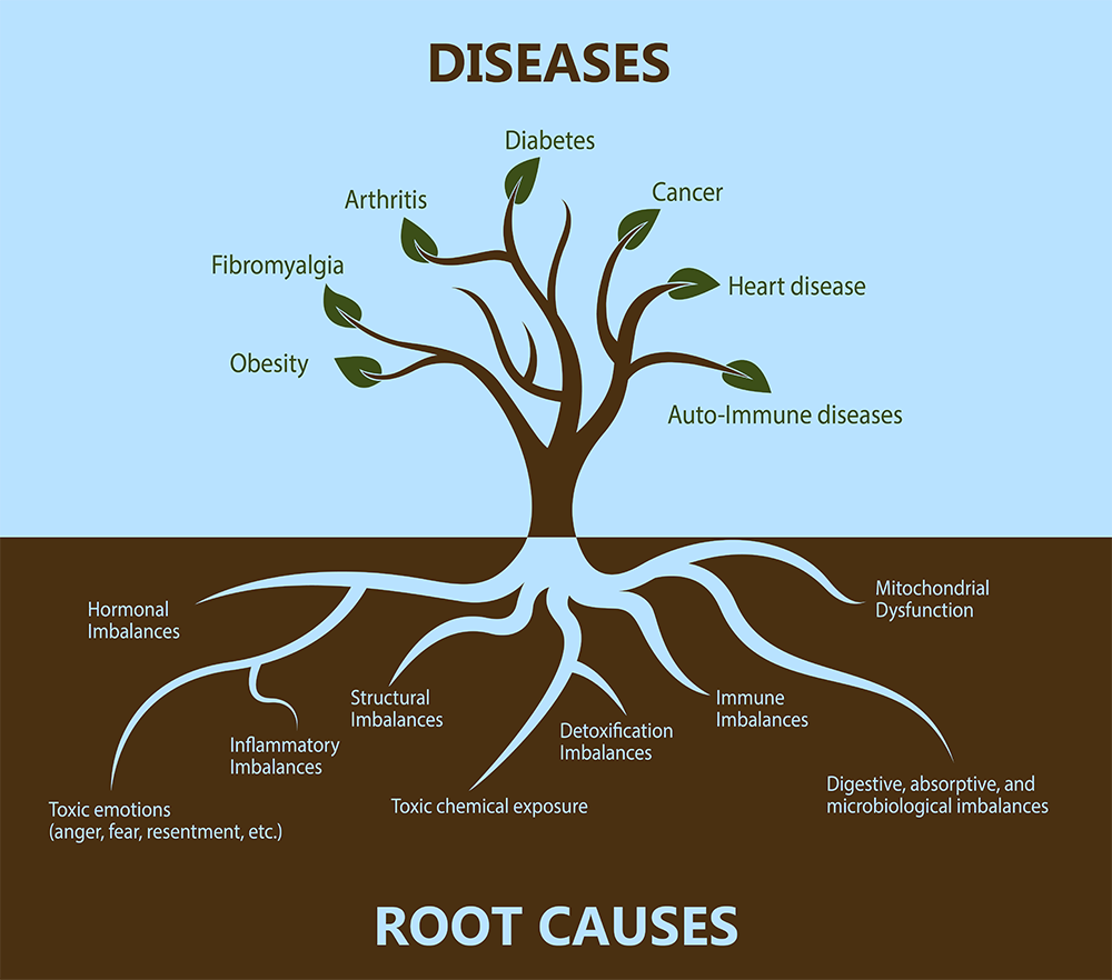 diagram of roots causes for illnesses